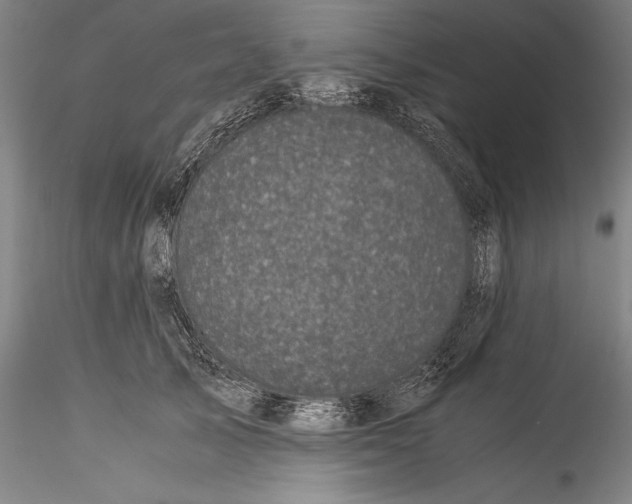 X0000115300705200911301513