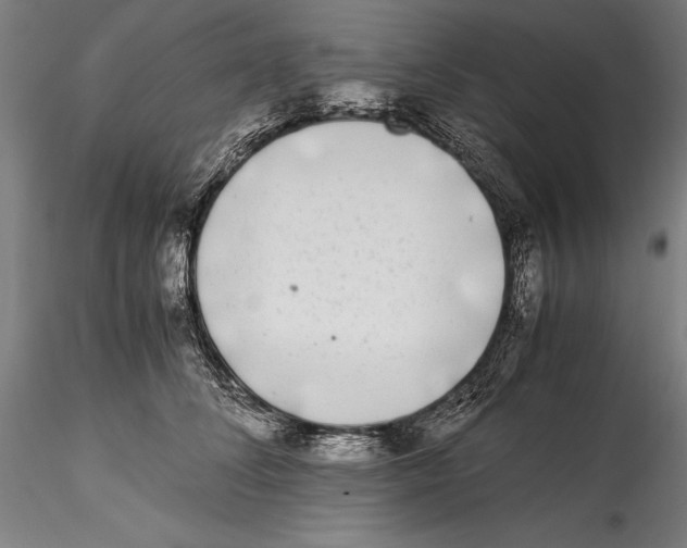 X0000115300708200911301513