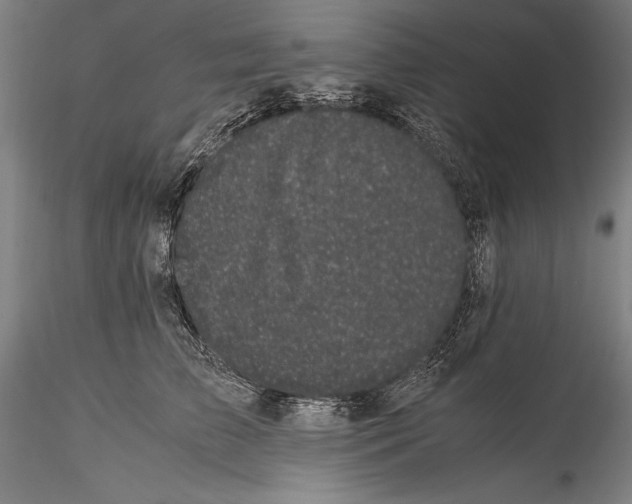 X0000115300709200911301513