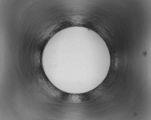 X0000115300710200911301513