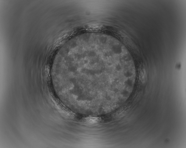 X0000115300711200911301513