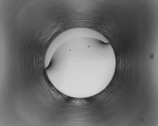 X0000115300712200911301513