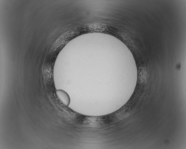 X0000115300713200911301513