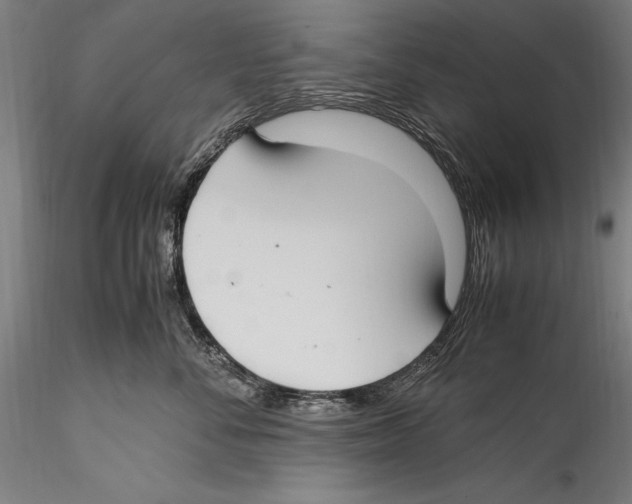 X0000115300716200911301513