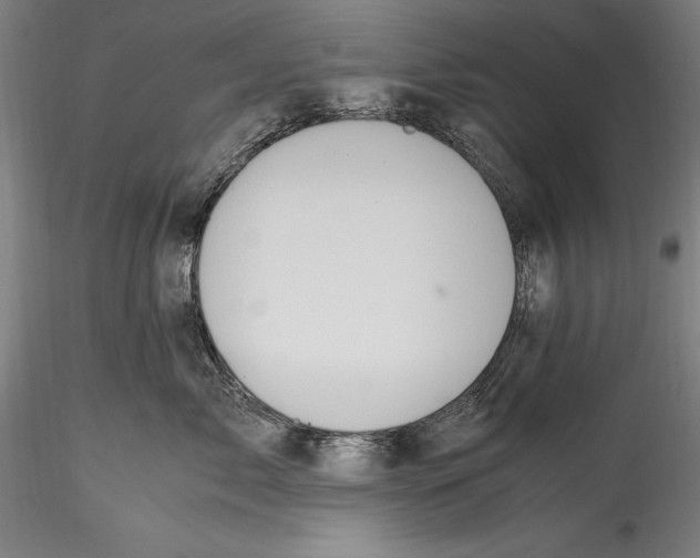 X0000115300717200911301513