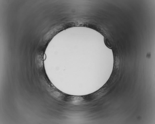 X0000115300719200911301513