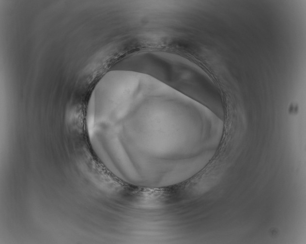 X0000115300720200911301513