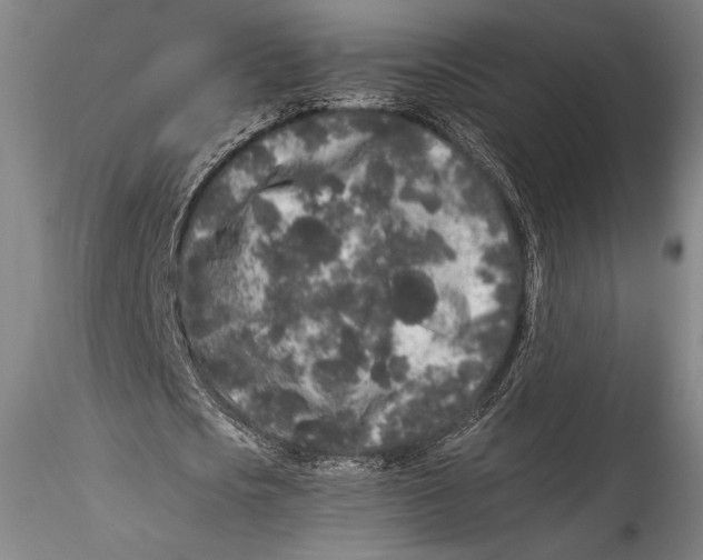 X0000115300721200911301513