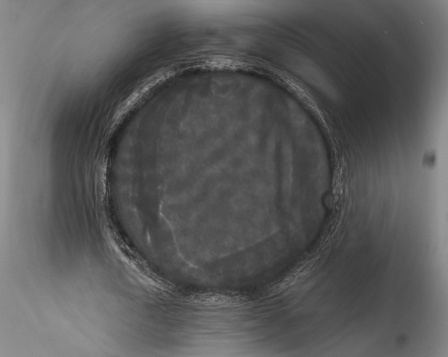 X0000115300722200911301513