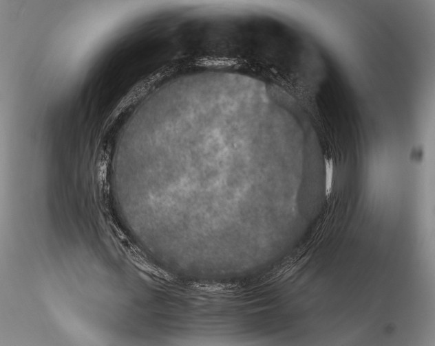 X0000115300723200911301513