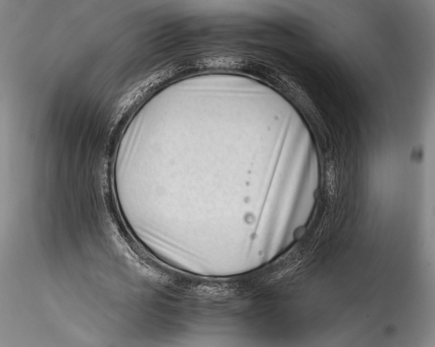 X0000115300725200911301513