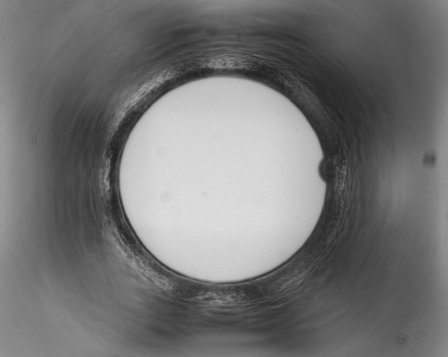 X0000115300727200911301513