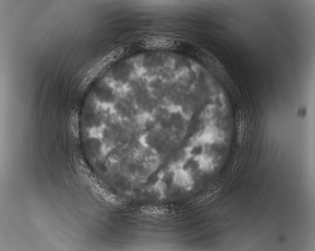 X0000115300729200911301513