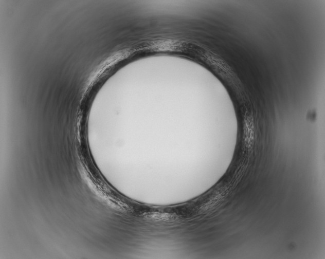 X0000115300730200911301513