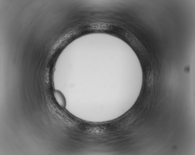 X0000115300731200911301513