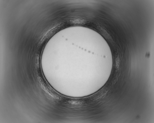 X0000115300733200911301513