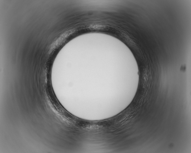 X0000115300734200911301513