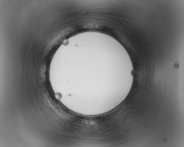 X0000115300735200911301513