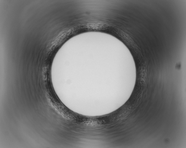 X0000115300738200911301513