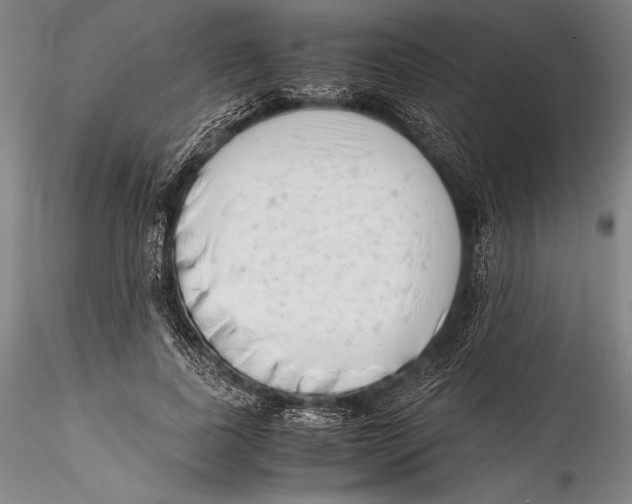 X0000115300739200911301513