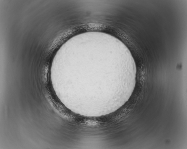 X0000115300742200911301513