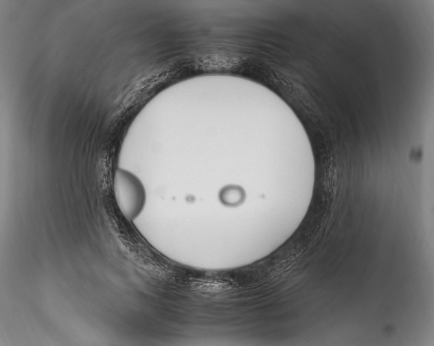 X0000115300743200911301513