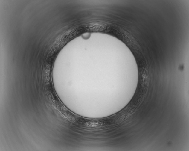 X0000115300745200911301513