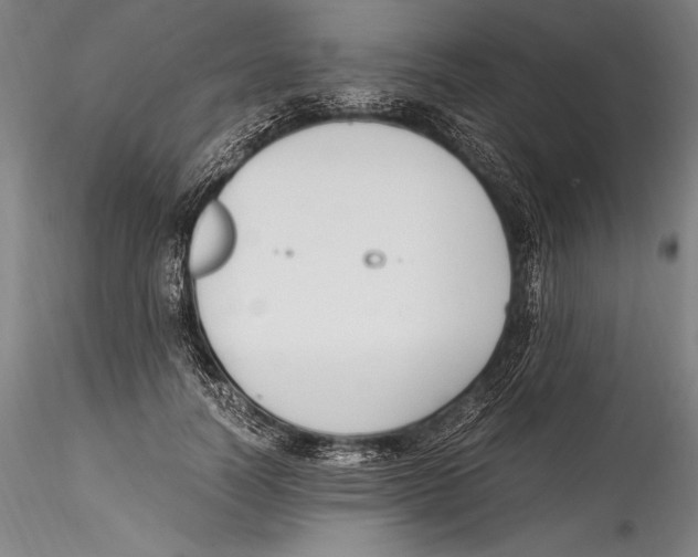 X0000115300746200911301513