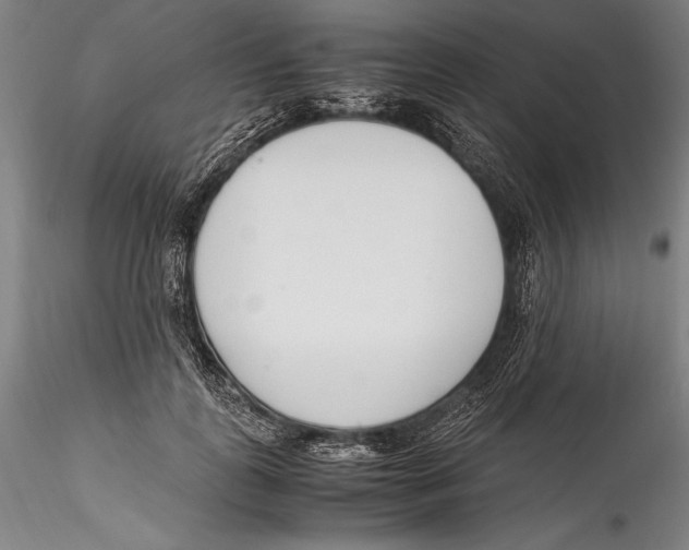 X0000115300747200911301513