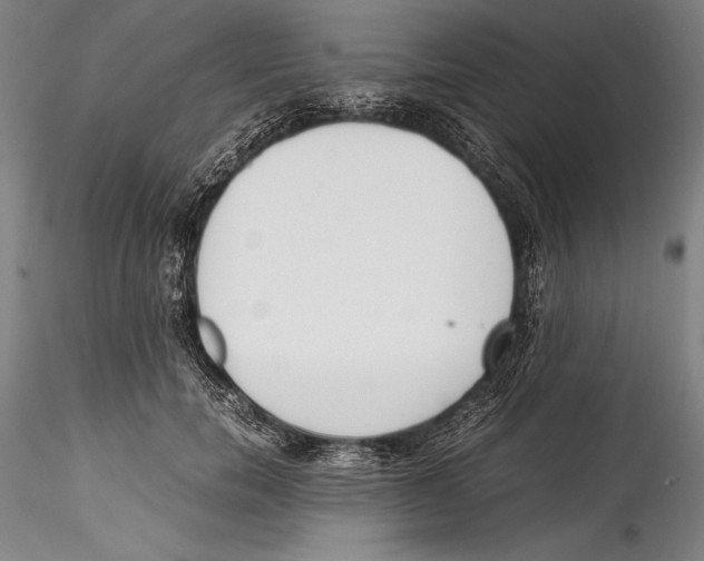 X0000115300750200911301513