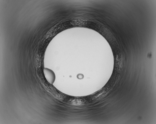 X0000115300751200911301513