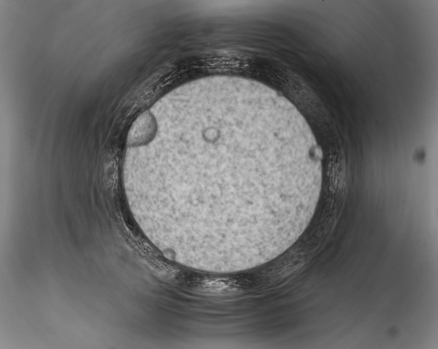 X0000115300753200911301513