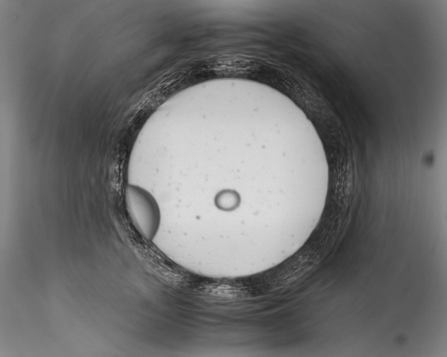 X0000115300755200911301513