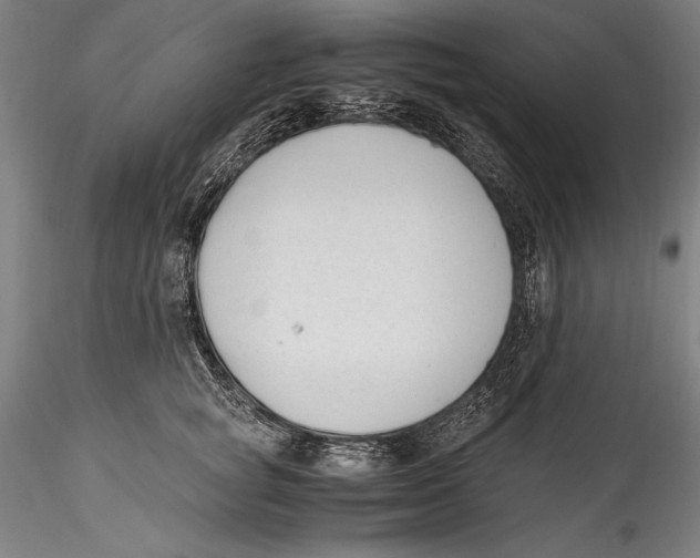 X0000115300757200911301513