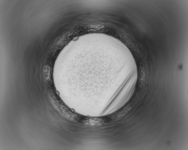 X0000115300758200911301513