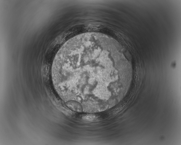 X0000115300759200911301513