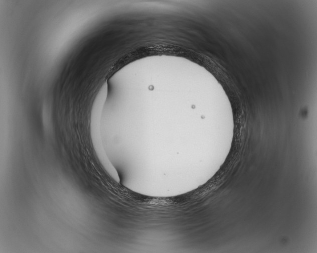 X0000115300762200911301513