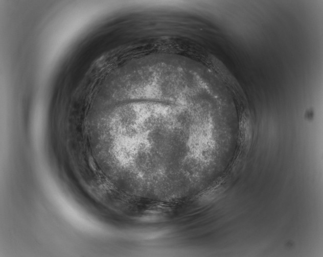 X0000115300765200911301513