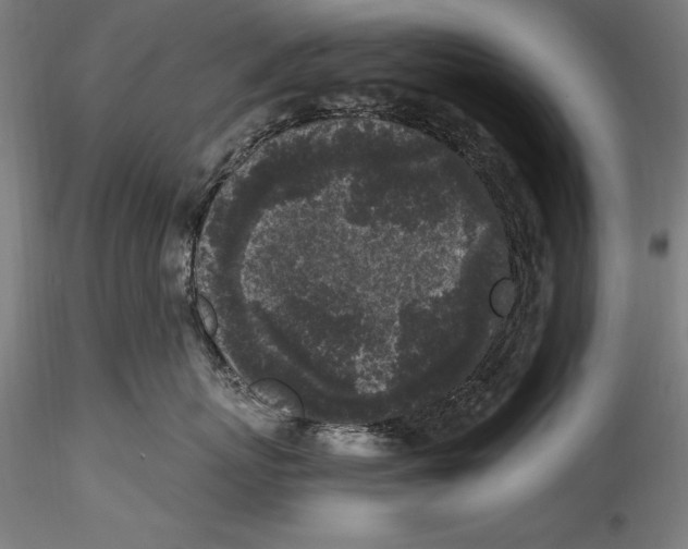 X0000115300767200911301513