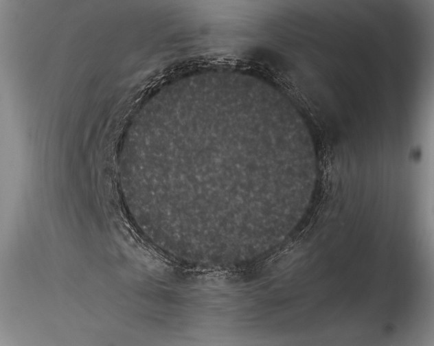 X0000115300769200911301513