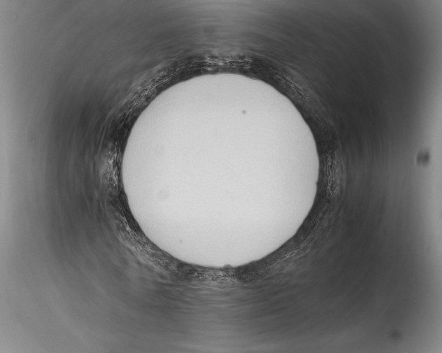 X0000115300770200911301513