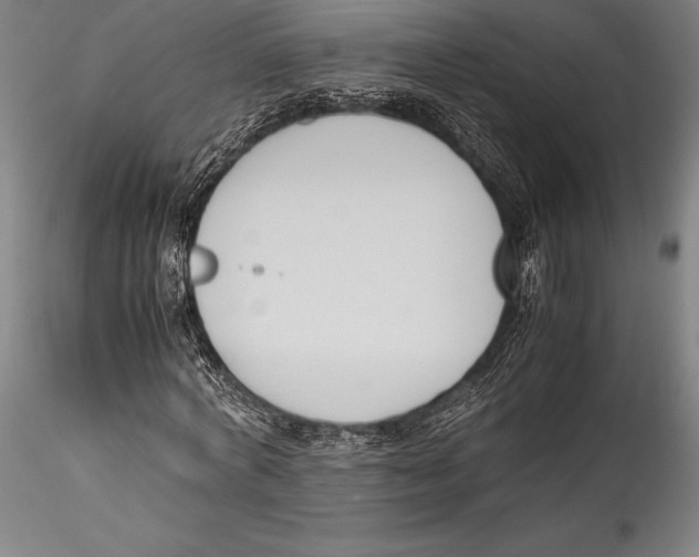 X0000115300772200911301513