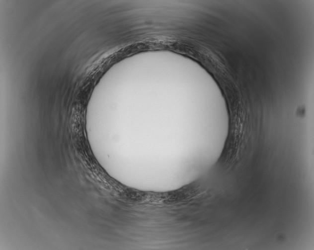 X0000115300773200911301513