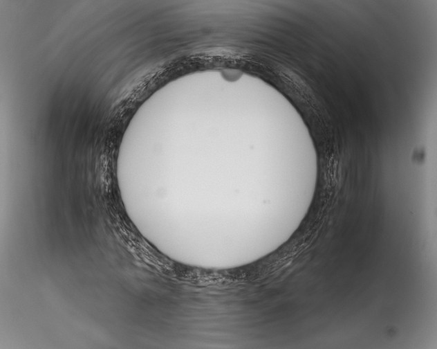 X0000115300774200911301513