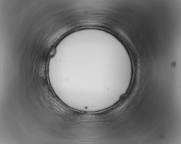 X0000115300777200911301513