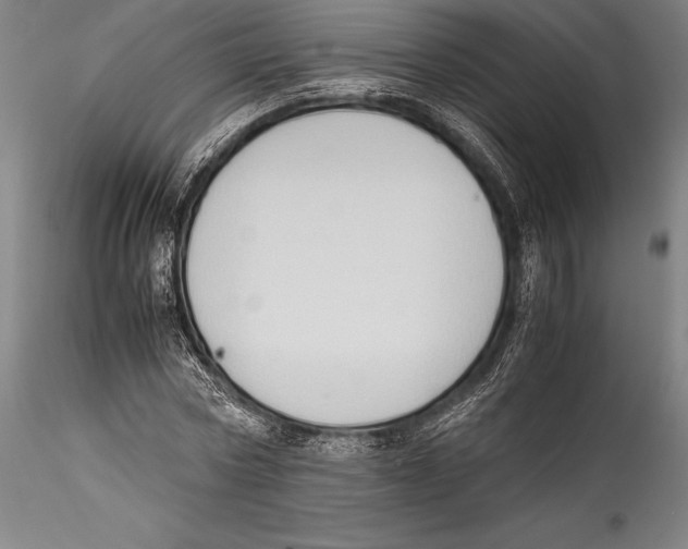 X0000115300778200911301512