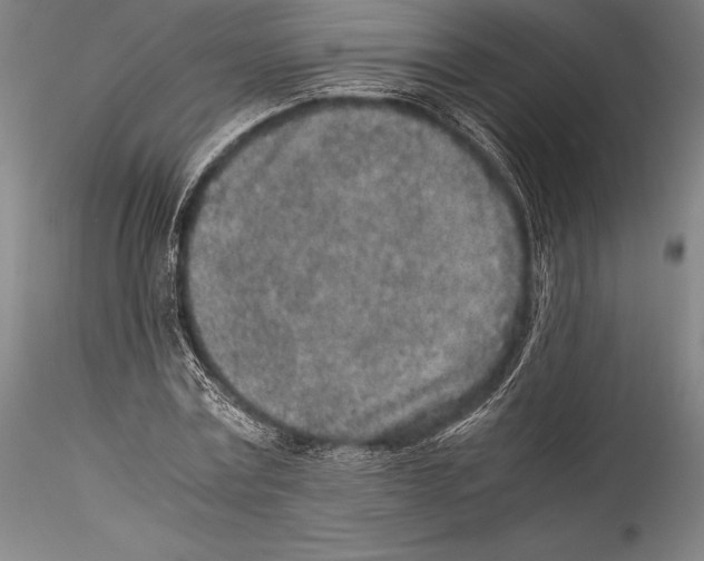 X0000115300779200911301512