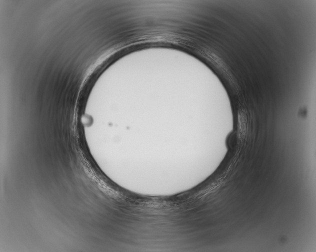 X0000115300780200911301512