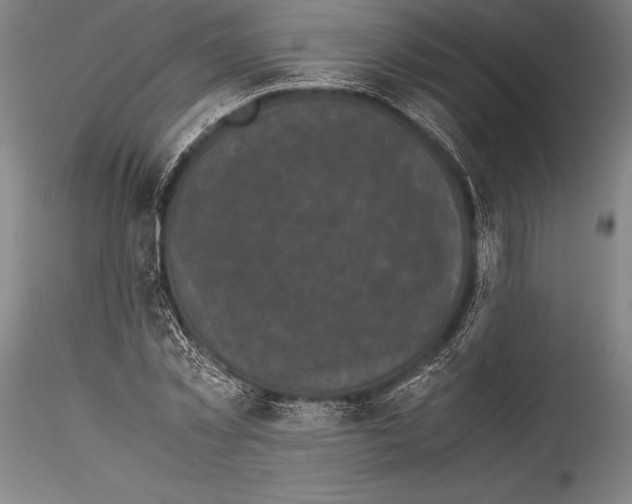 X0000115300781200911301512