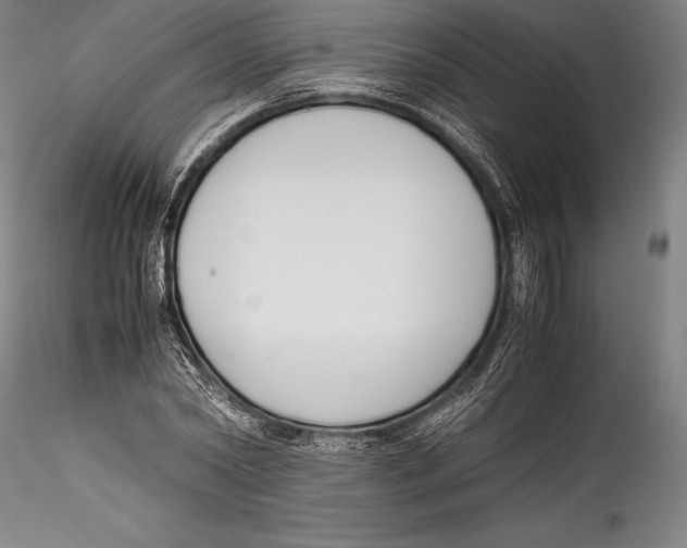 X0000115300782200911301512